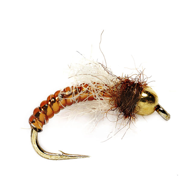 Blue Winged Olivel